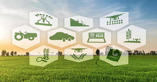 IoT समर्थन बुद्धि कृषि समाधान लैंडिंग में तेजी लाने के