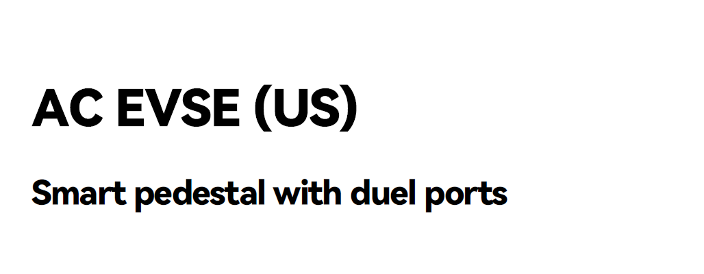 dual port charging pile