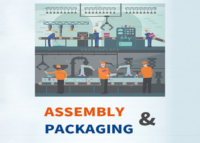 Products Assembly & Customized Packaging