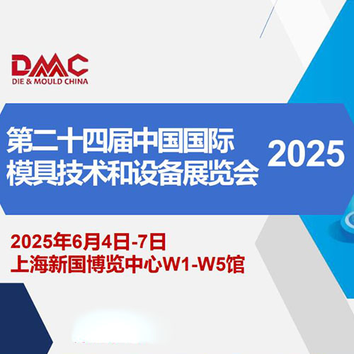 ˾2025DMCϺģչ