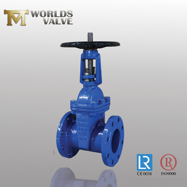 acs resilient seated gate valve