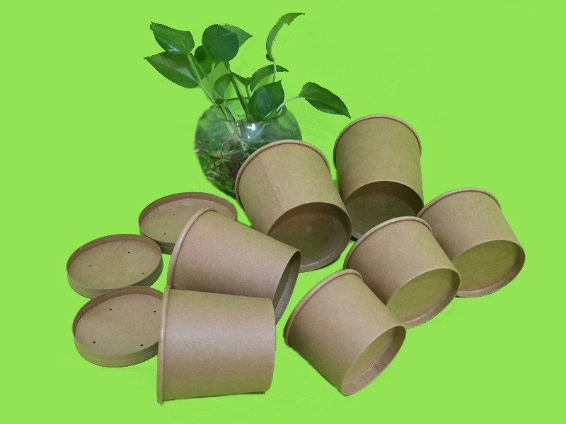 Download Supply Regualr Kraft Paper Soup Bowl With Paper Lid ...