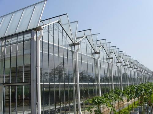 PV float glass for green house