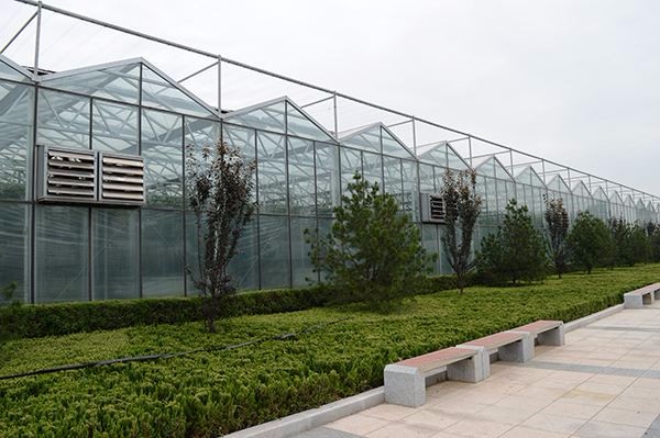 Casa de aislamiento de vidrio flotado solar de China, compre vidrio flotado solar ultra claro Precio