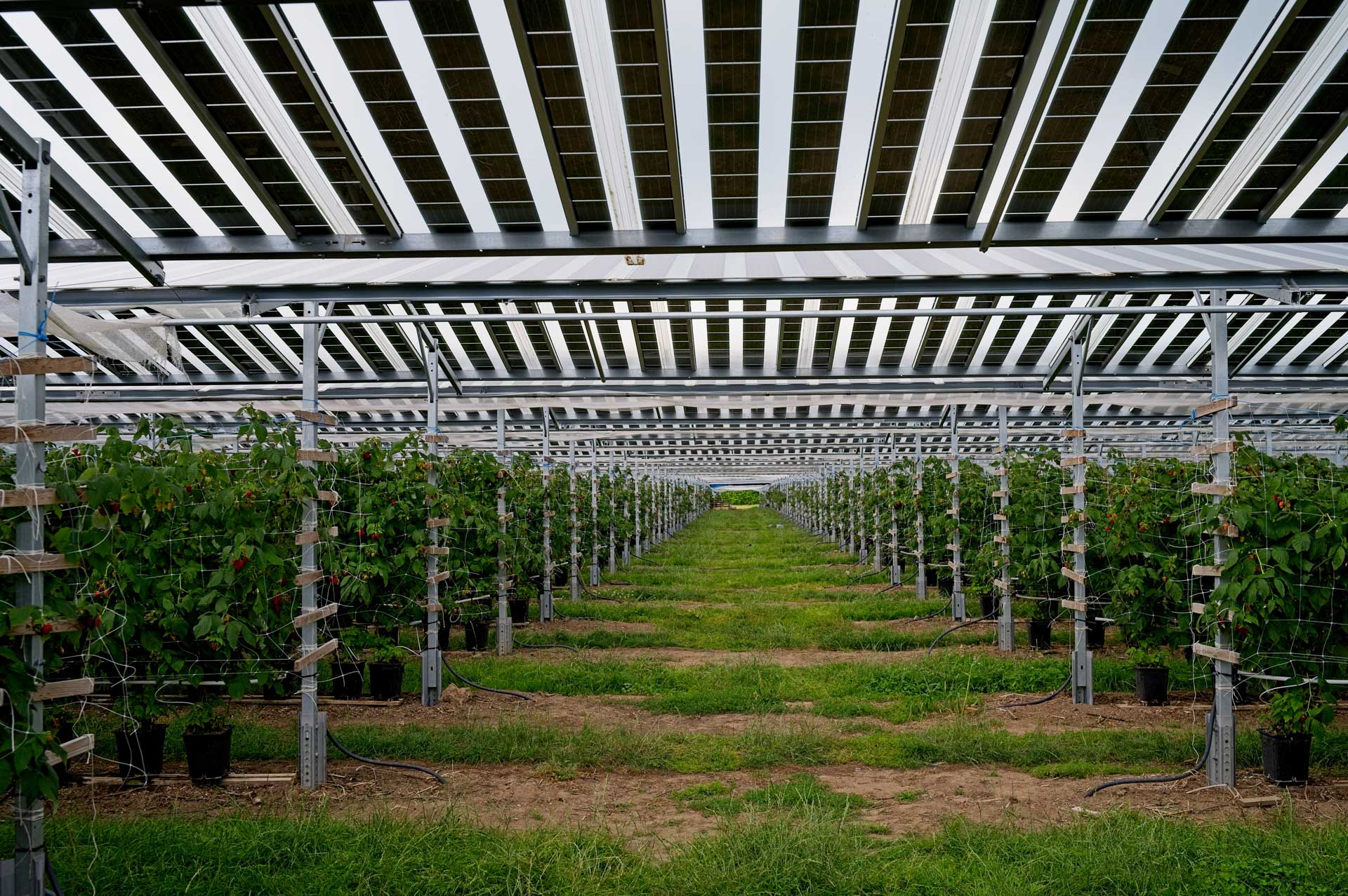 60% transmittance transparent solar panel