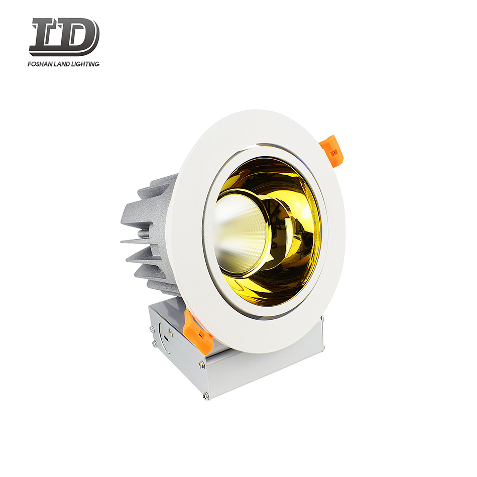 5 inch round led down light