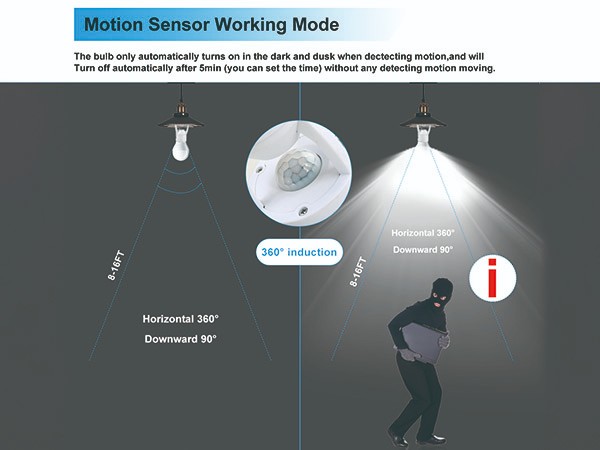 Bezpieczeństwo Światła – Jak szukać