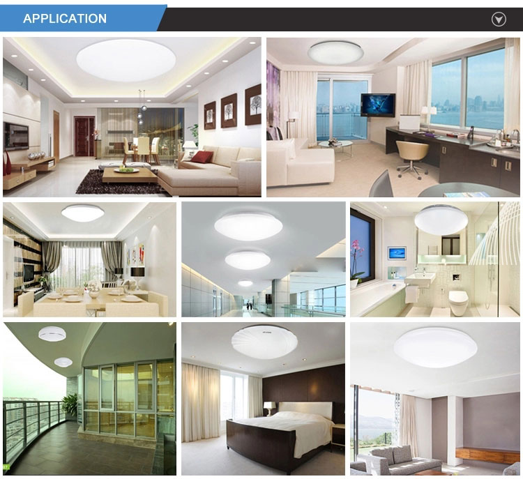 Ceiling light manufacturers