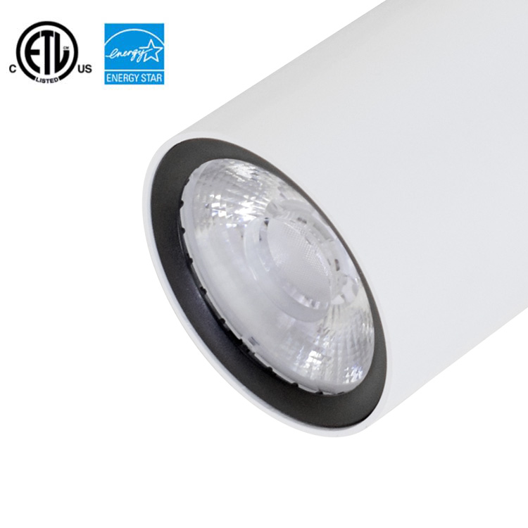 COB highlight light source track light 30W 35W commercial lighting ETL