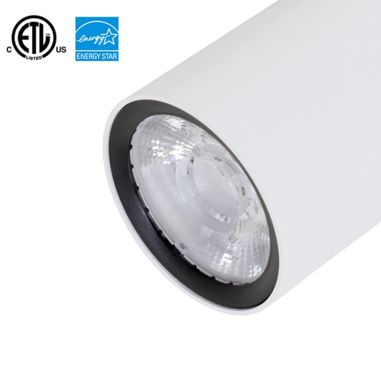 COB evidenzia la sorgente luminosa a binario 30W 35W illuminazione commerciale ETL