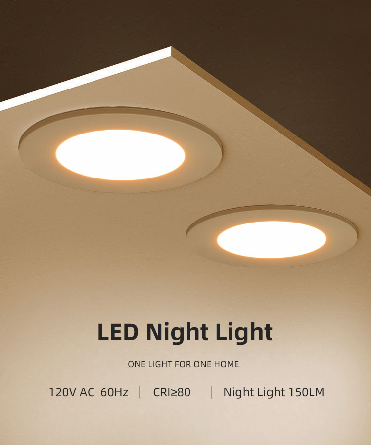 LED Night Light