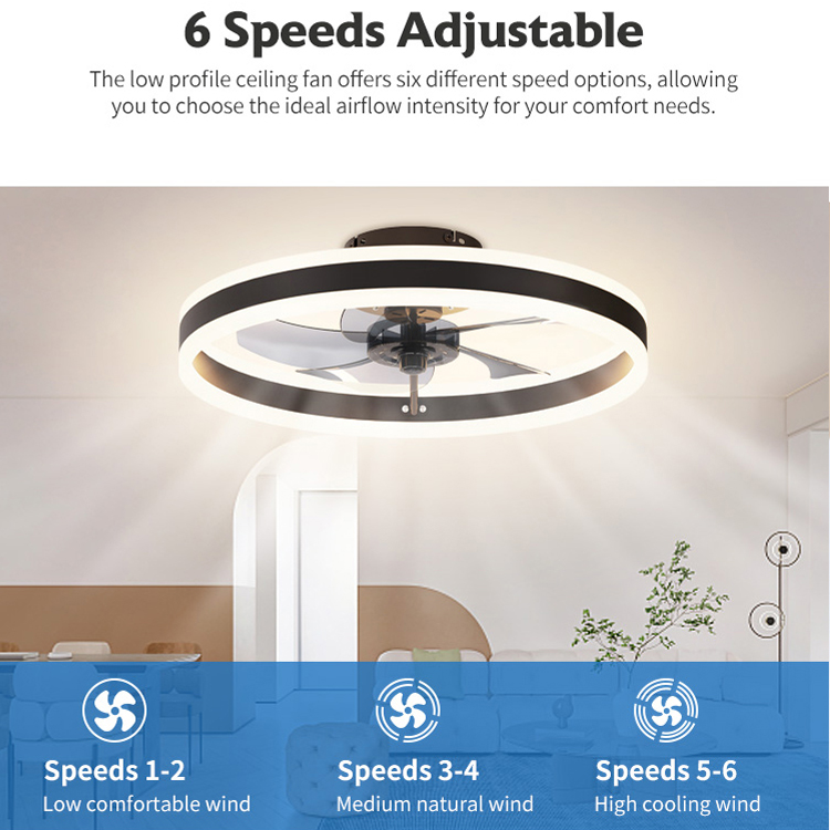 110V-120V Round Modern LED Ceiling Fan Light Ceiling Mount Lamp