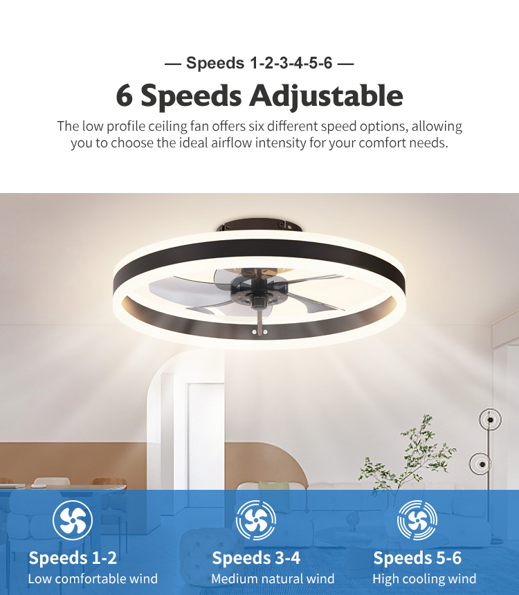 Round LED Ceiling Fan