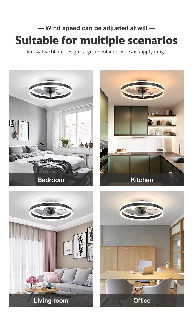 Modern Ceiling Fan Light