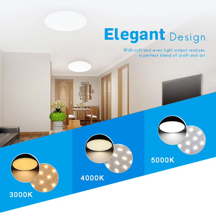Illuminate Your Space with Ceiling Mounts and Flush Mounts