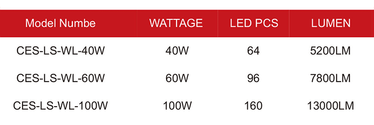 LED Wallpack Light