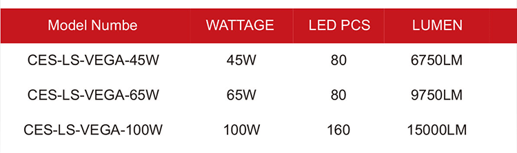 LED Canopy Lighting