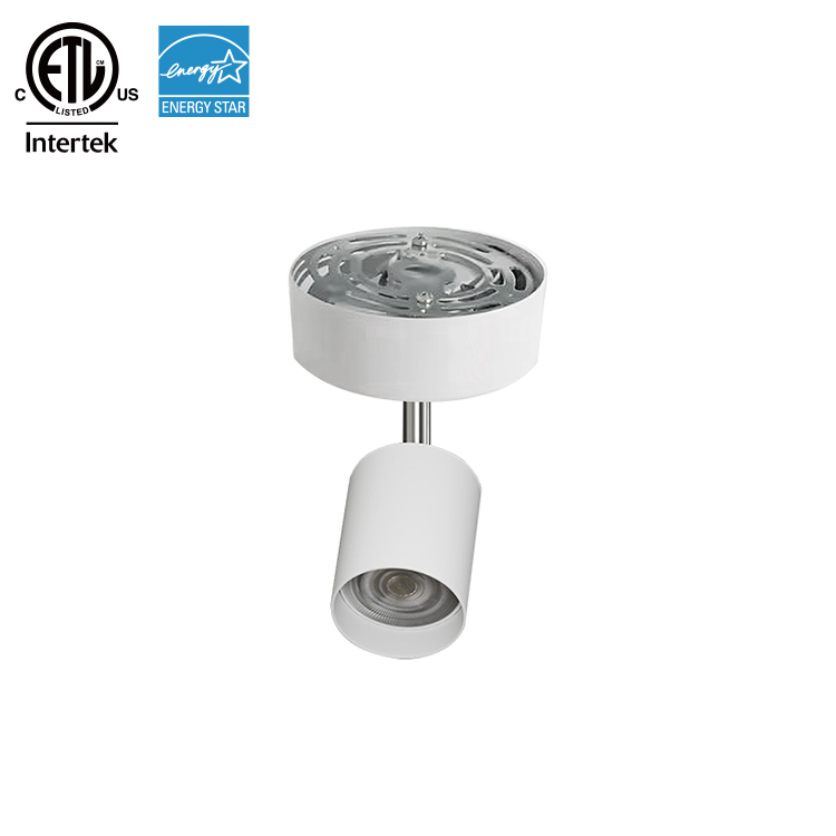 Binario luminoso spot a led dimmerabile rotondo da 120 V per negozio al dettaglio