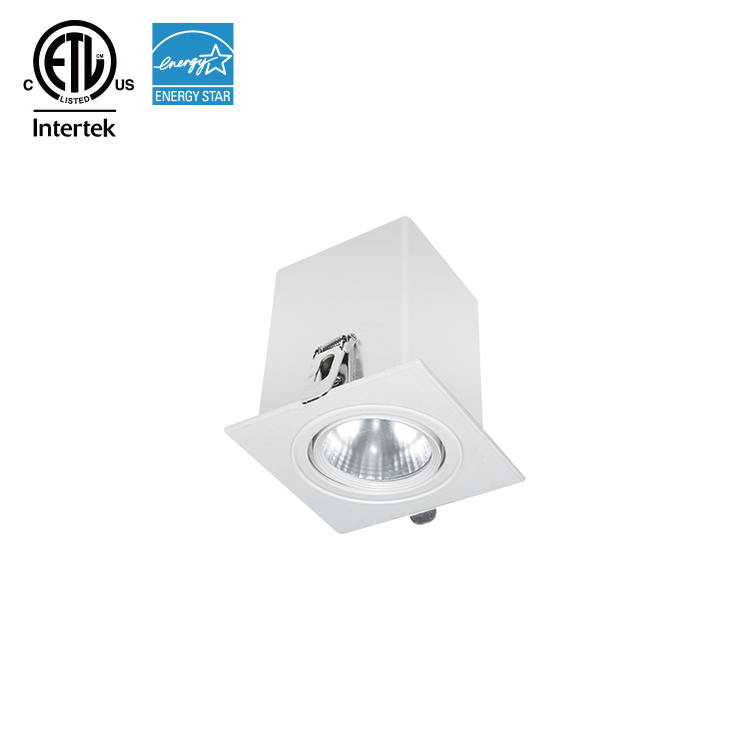 110-120V Adjustable LED Grille DownLight