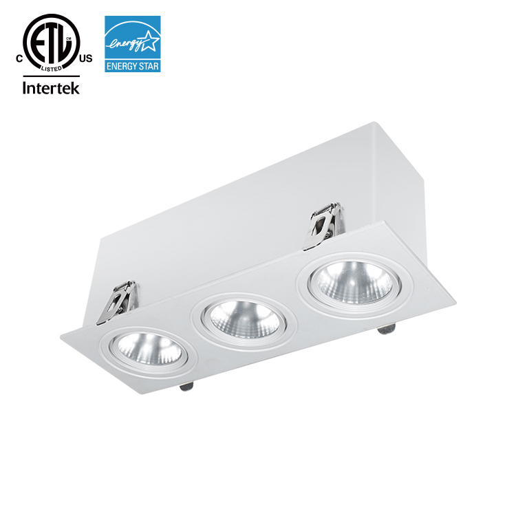 110-120V Adjustable LED Grille DownLight