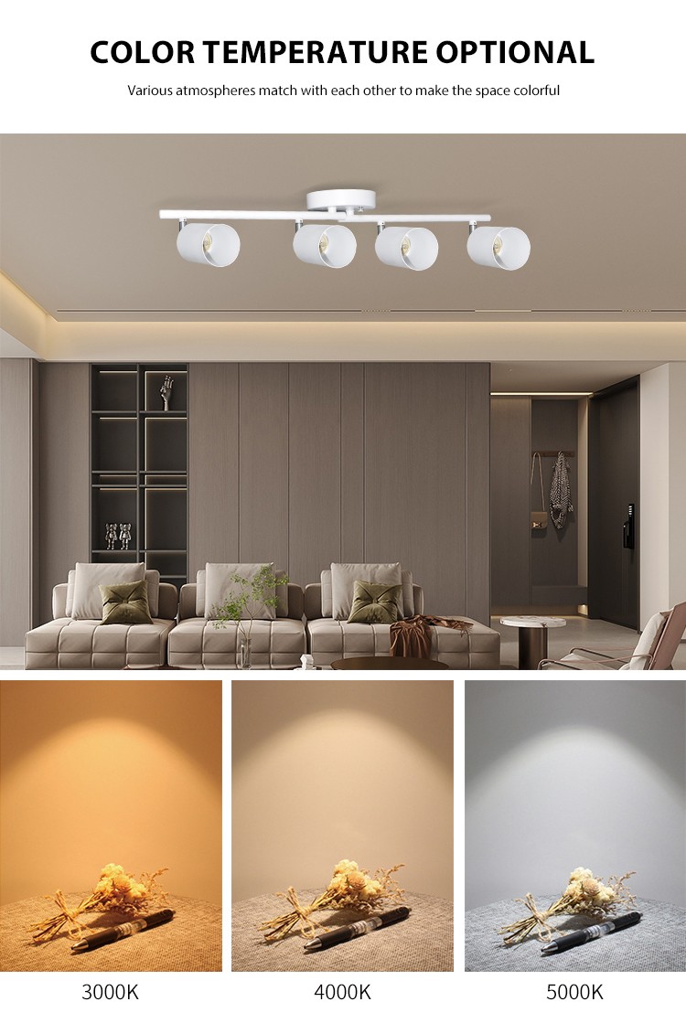 Surface Mounted Spotlight