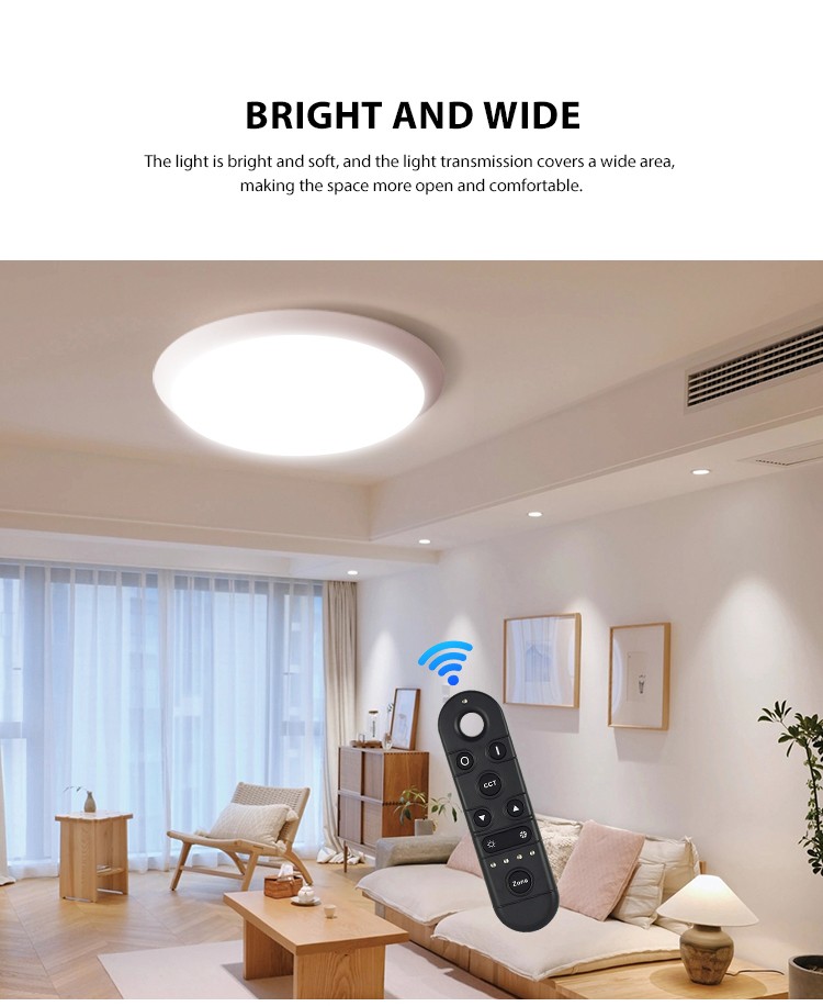 Flush Mount Light