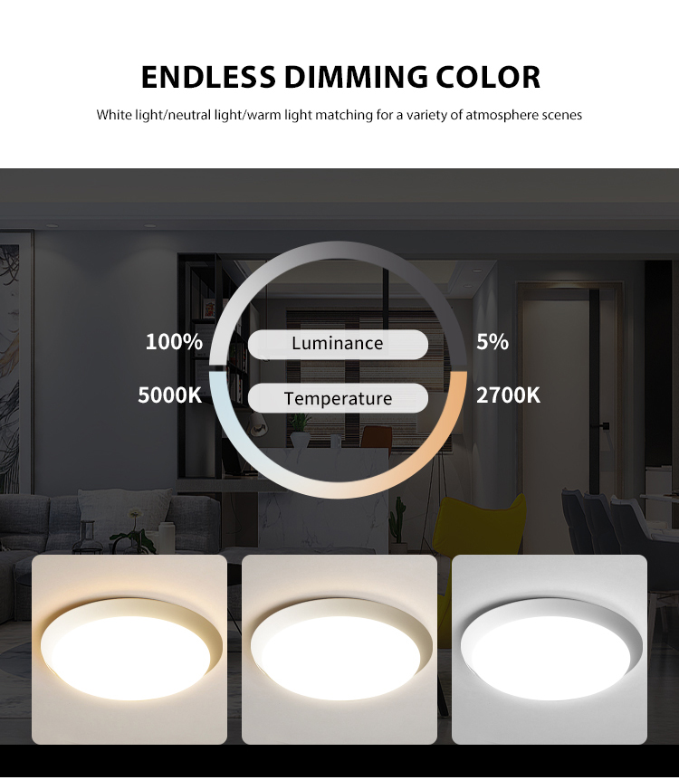 Flush Ceiling Light