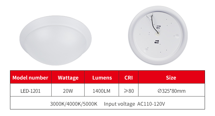 Led Ceiling Light