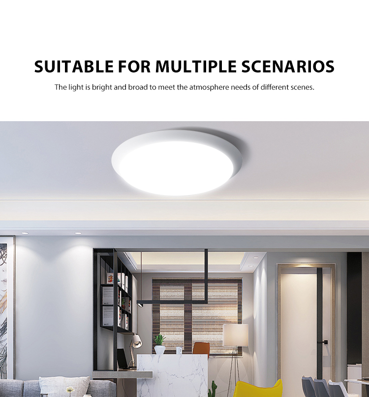 Flush Ceiling Light