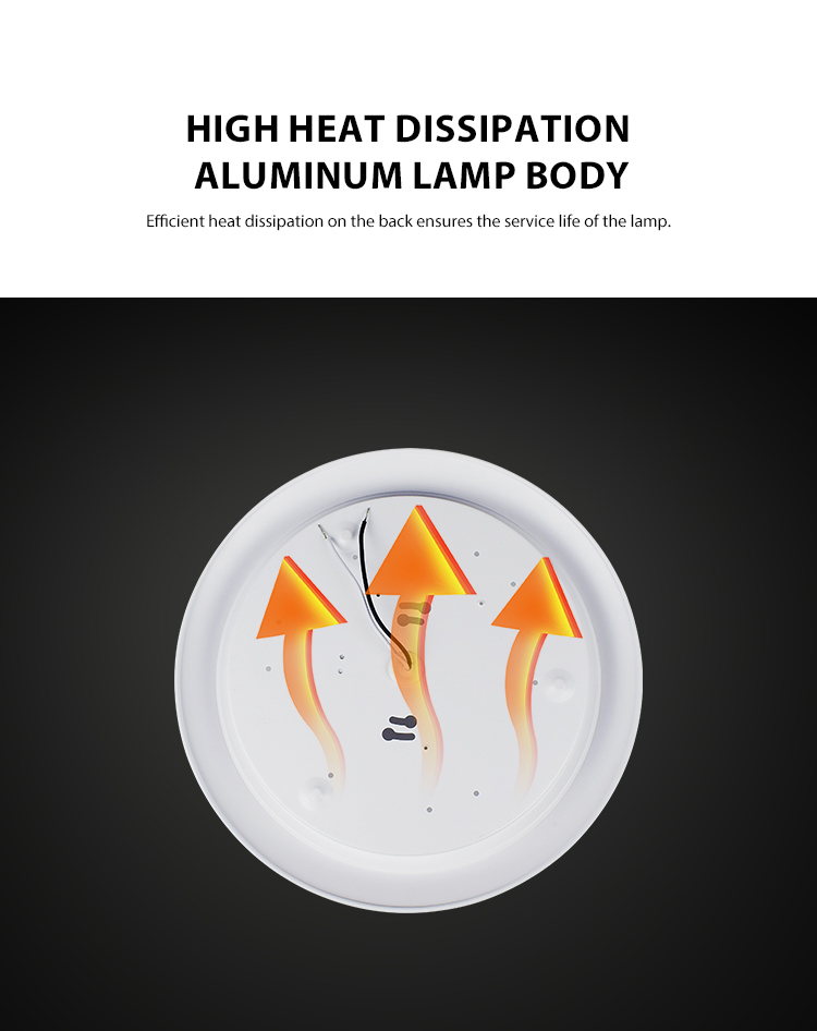 Flush Mount Light