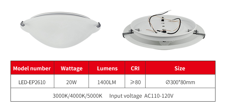 Flush Mount Light