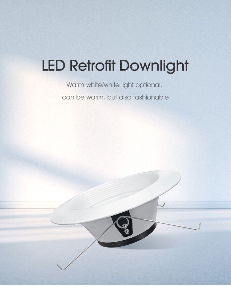 Recessed Ceiling Light