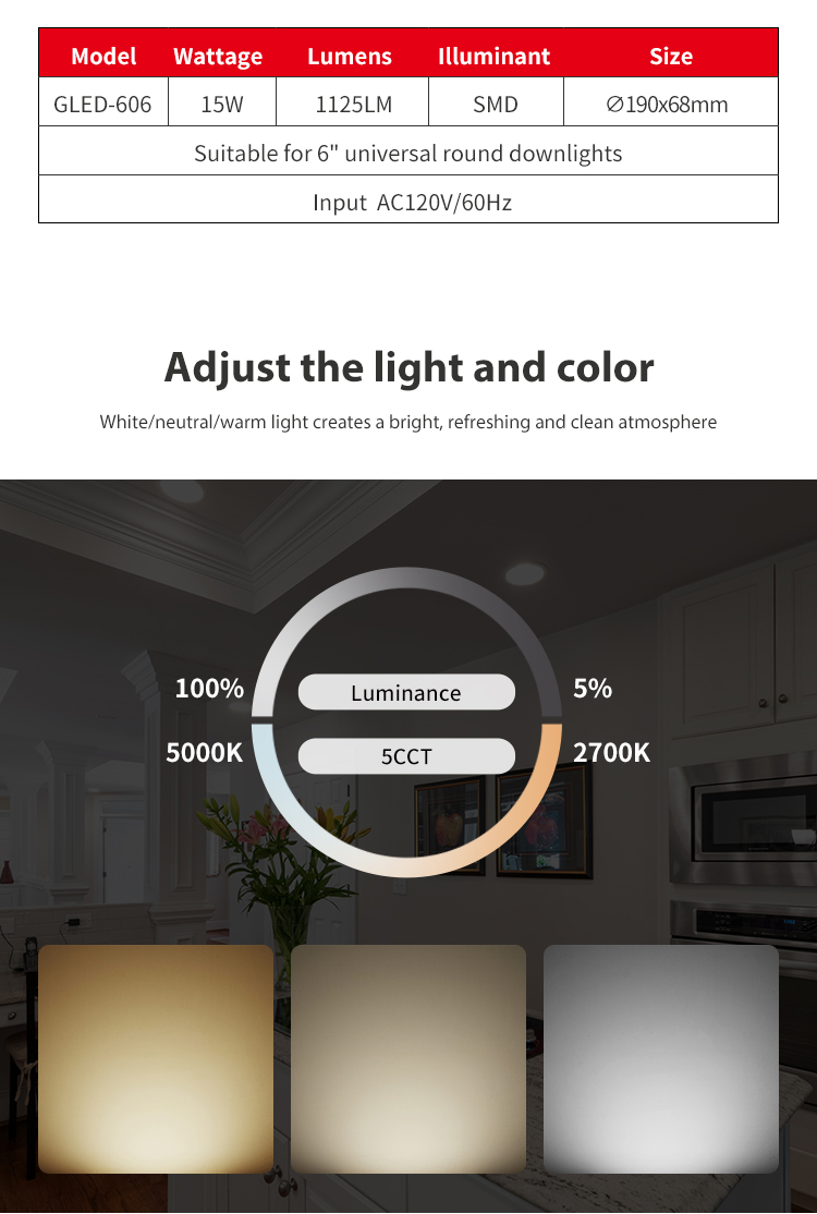 Dimmable Downlight