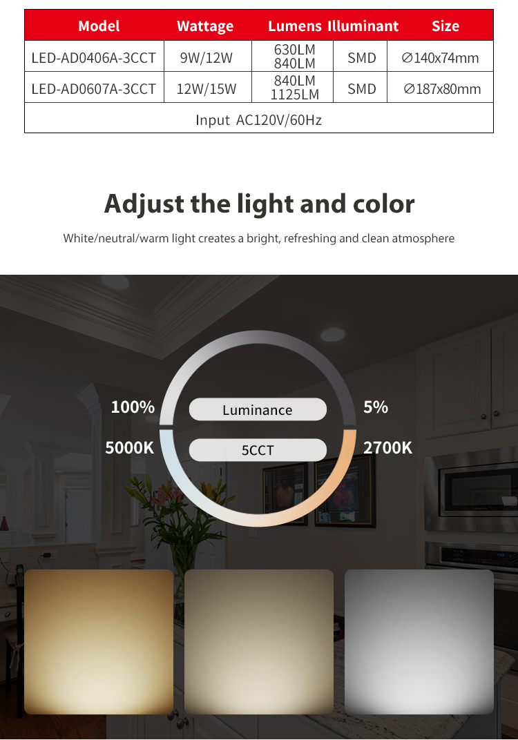 Retrofit LED Downlight