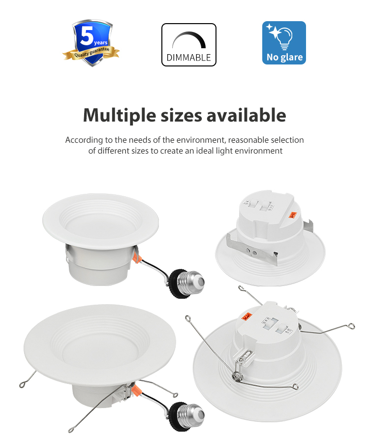LED Retrofit Downlight
