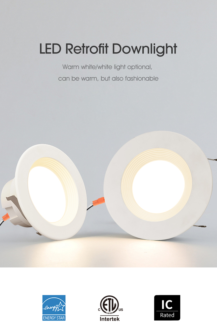 Retrofit Downlight