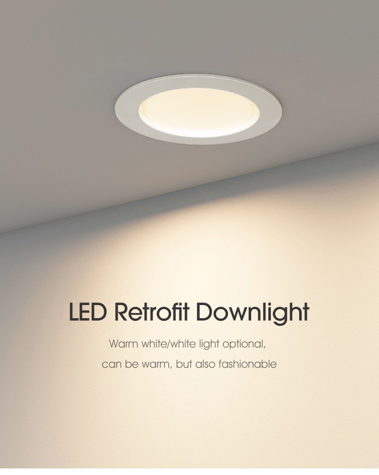 Retrofit Downlight 6 Inch