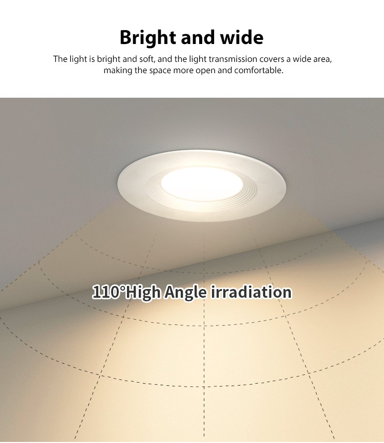 Retrofit Recessed Downlight