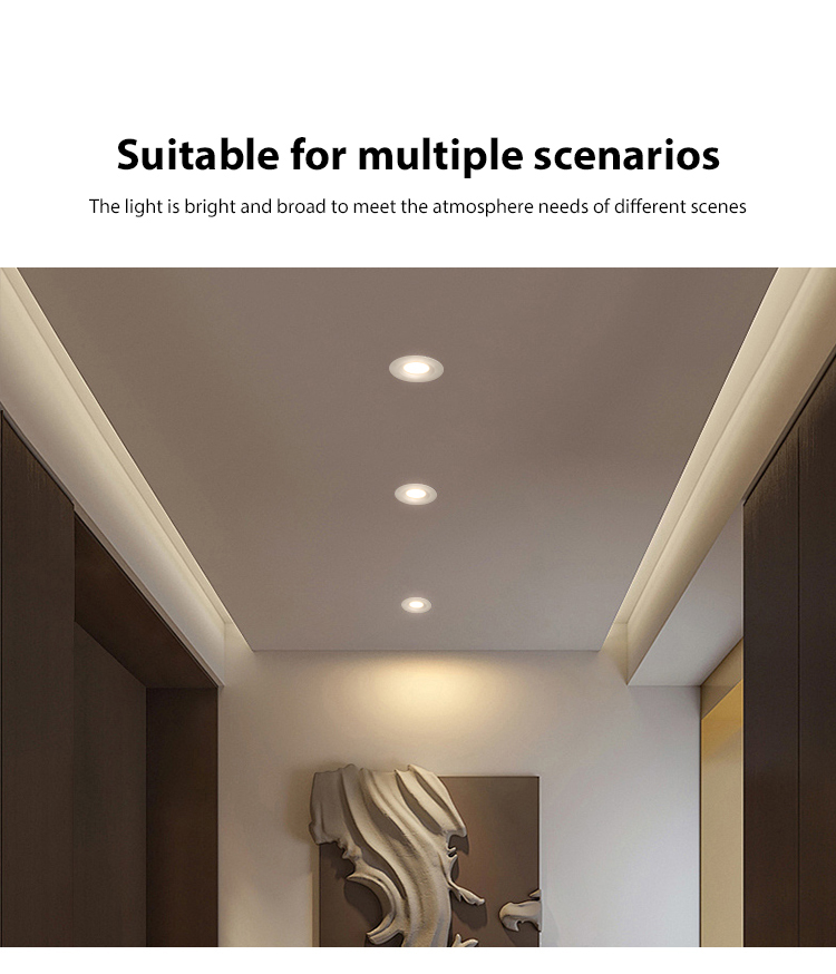 Retrofit Recessed Downlight