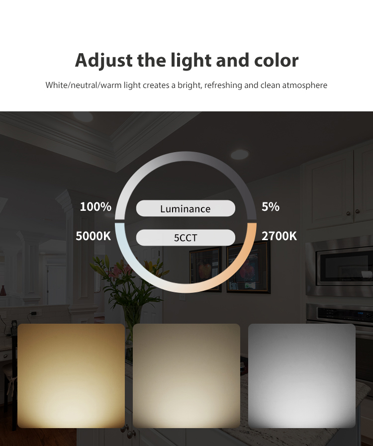Retrofit Downlight