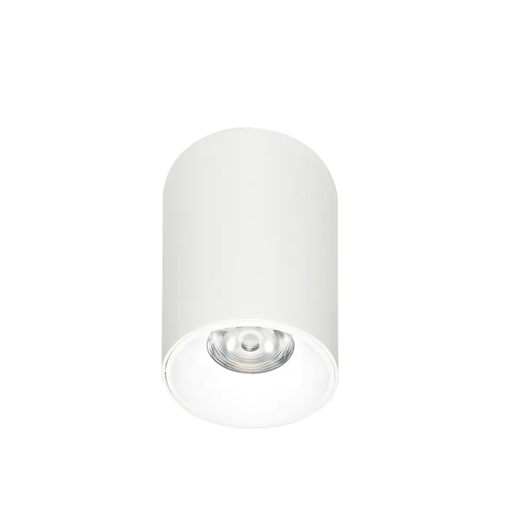 110V-120V Binnenshuis Hangende Opbouw LED Downlight
