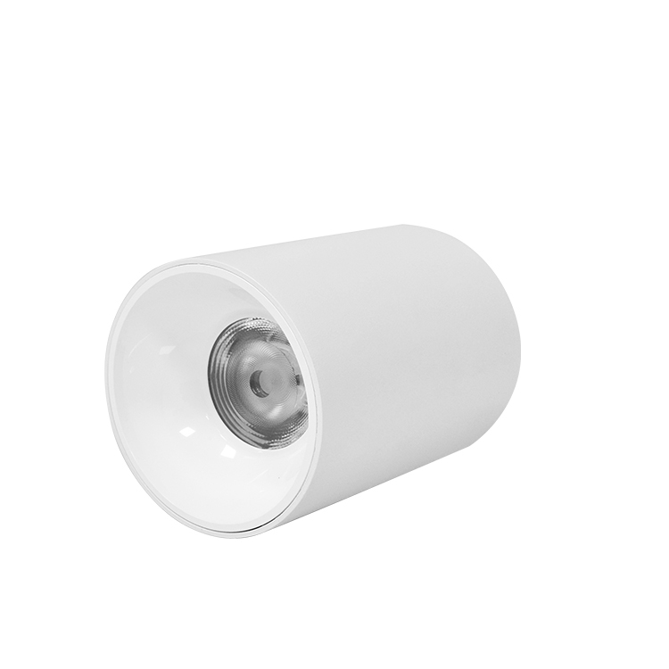 Foco LED colgante de superficie para interiores, 110 V-120 V