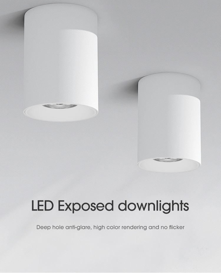 Led Downlights
