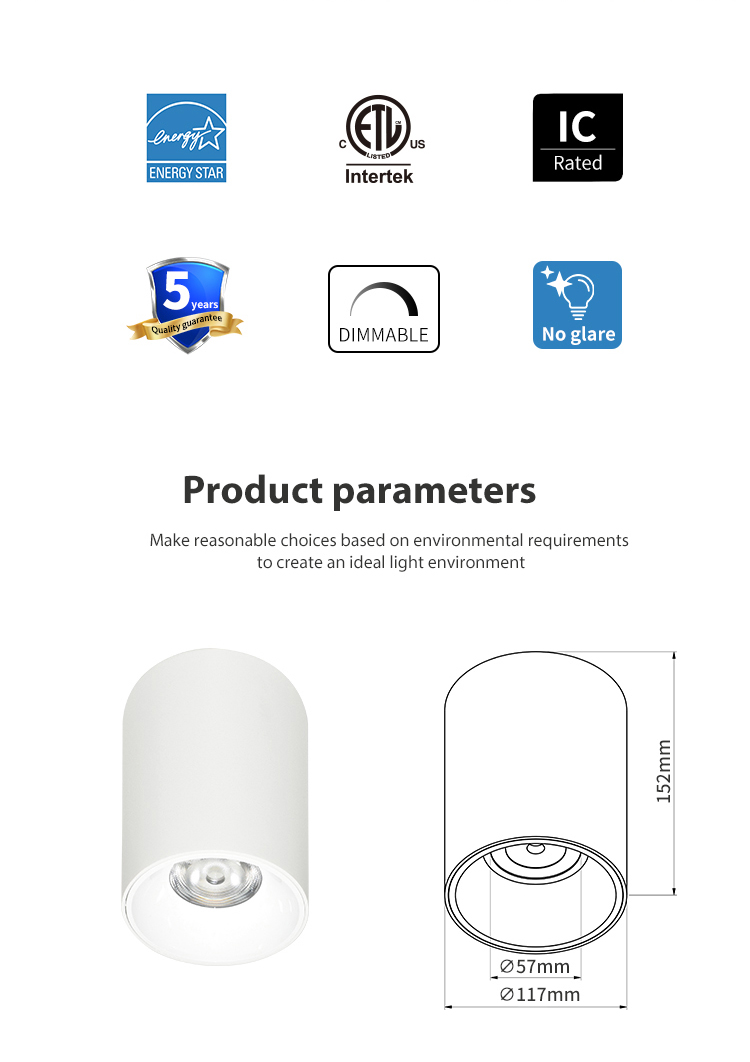 Suspended Pendent Downlights