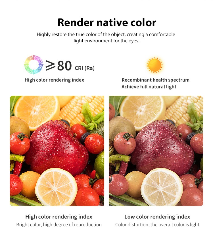 Led Downlights