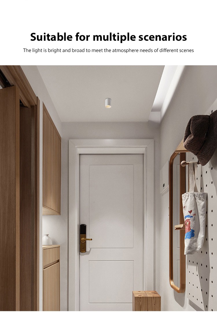 Suspended Pendent Downlights