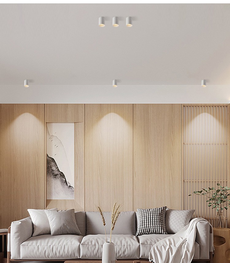 Surface Mounted Downlight