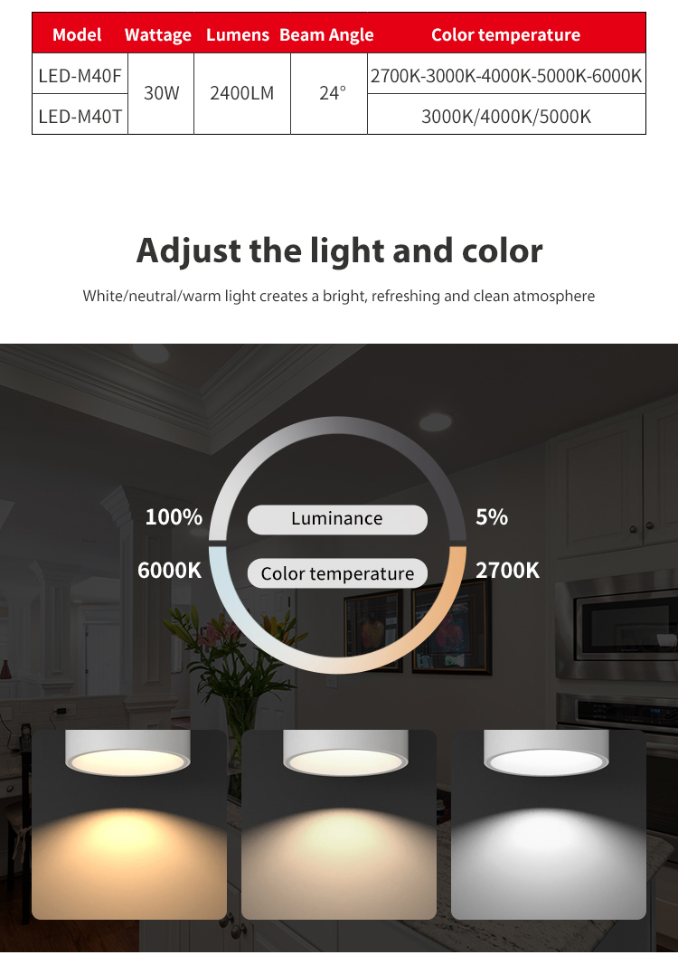 Surface Mounted Downlight