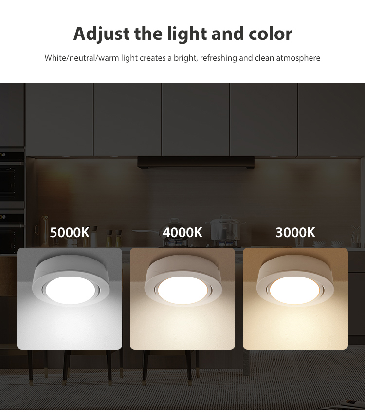 Surface Mounted LED Kitchen Light