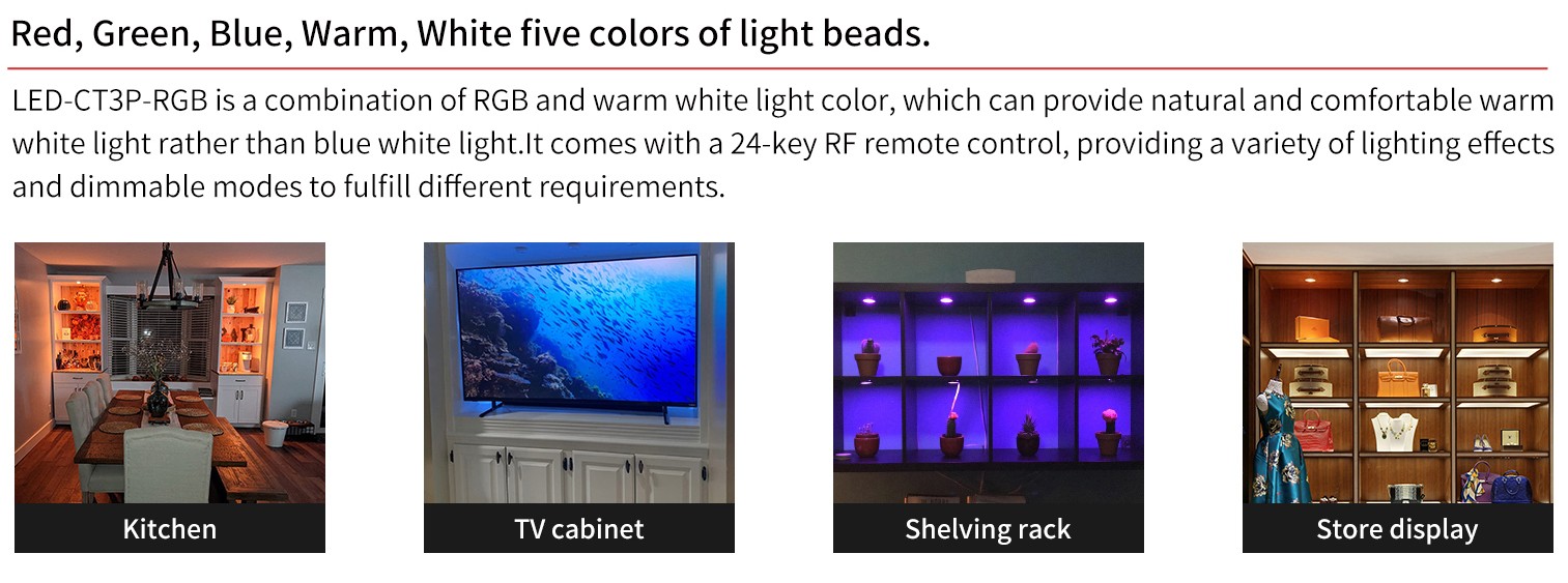 Smart Pucklight